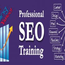 SEO Training Courses